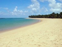 Grão de Areia
