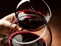 SANTO VINHO