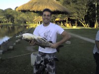 01 PEIXE FORA D’AGUA (literalmente)